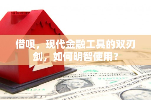 丽水借呗，现代金融工具的双刃剑，如何明智使用？