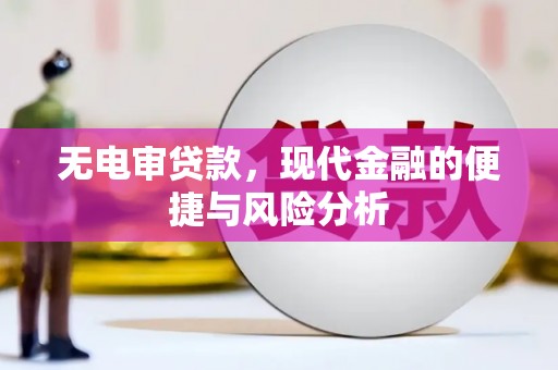 丽水无电审贷款，现代金融的便捷与风险分析