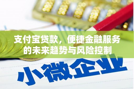 丽水支付宝贷款，便捷金融服务的未来趋势与风险控制