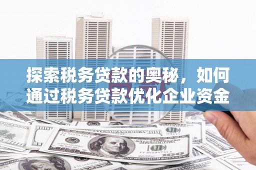丽水探索税务贷款的奥秘，如何通过税务贷款优化企业资金流