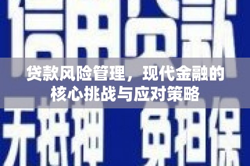 丽水贷款风险管理，现代金融的核心挑战与应对策略