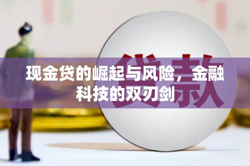 丽水现金贷的崛起与风险，金融科技的双刃剑