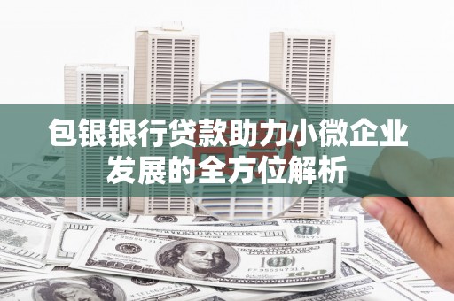 丽水包银银行贷款助力小微企业发展的全方位解析