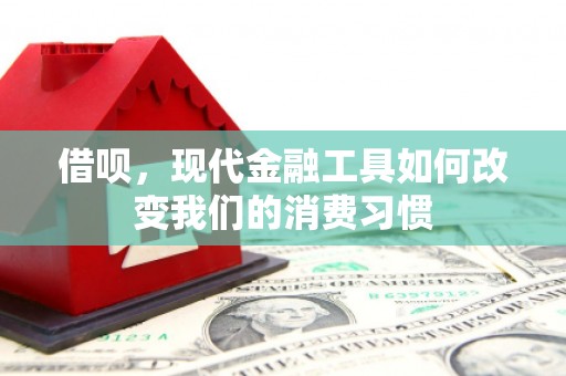 丽水借呗，现代金融工具如何改变我们的消费习惯