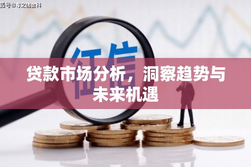 丽水贷款市场分析，洞察趋势与未来机遇