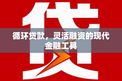 丽水循环贷款，灵活融资的现代金融工具