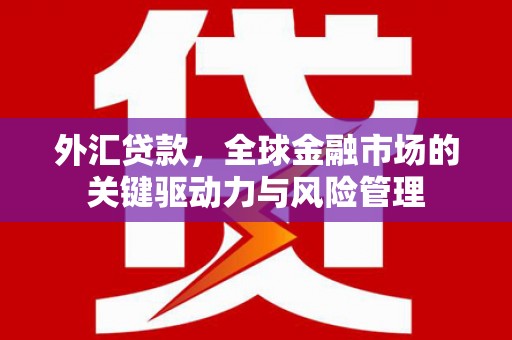 丽水外汇贷款，全球金融市场的关键驱动力与风险管理
