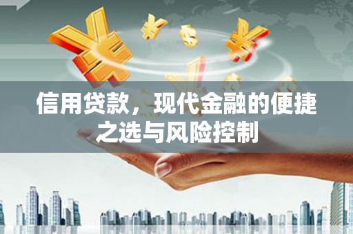 丽水信用贷款，现代金融的便捷之选与风险控制