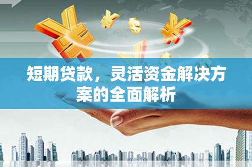 丽水短期贷款，灵活资金解决方案的全面解析