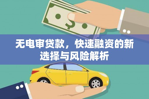 丽水无电审贷款，快速融资的新选择与风险解析