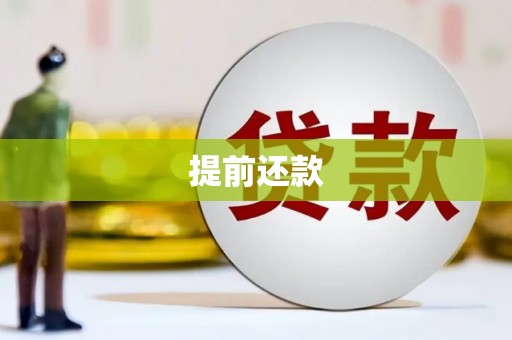 丽水提前还款