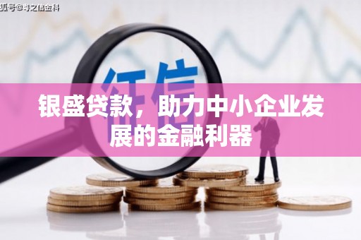 丽水银盛贷款，助力中小企业发展的金融利器