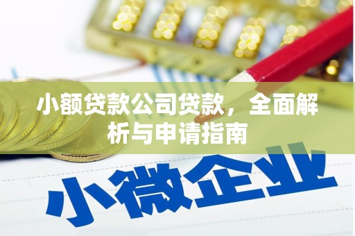 丽水小额贷款公司贷款，全面解析与申请指南