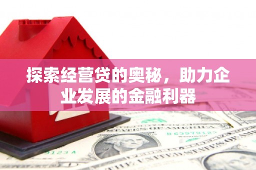 丽水探索经营贷的奥秘，助力企业发展的金融利器