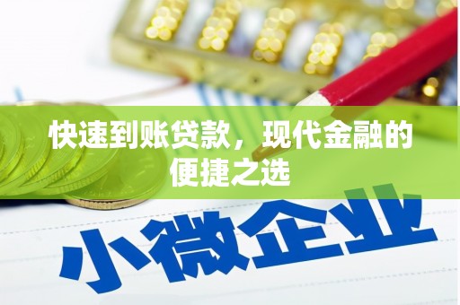 丽水快速到账贷款，现代金融的便捷之选