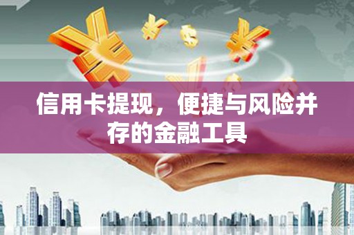 丽水信用卡提现，便捷与风险并存的金融工具