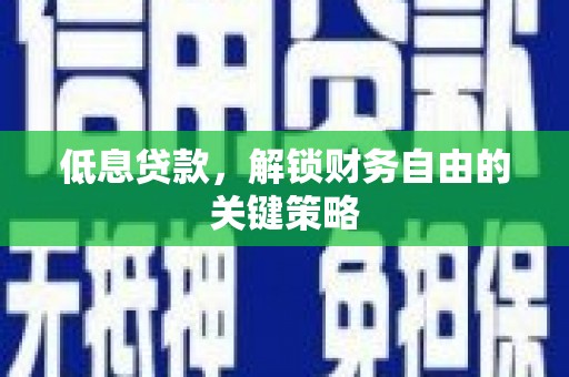 丽水低息贷款，解锁财务自由的关键策略