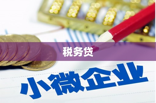 丽水税务贷