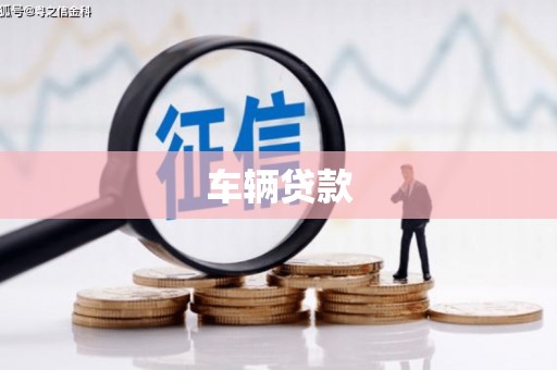丽水车辆贷款