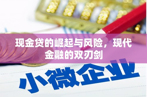 丽水现金贷的崛起与风险，现代金融的双刃剑