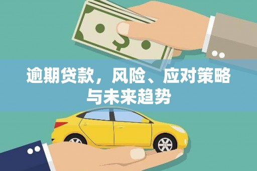 丽水逾期贷款，风险、应对策略与未来趋势