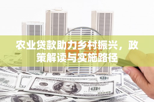丽水农业贷款助力乡村振兴，政策解读与实施路径