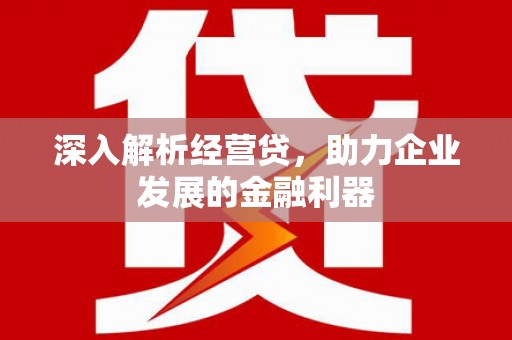 丽水深入解析经营贷，助力企业发展的金融利器