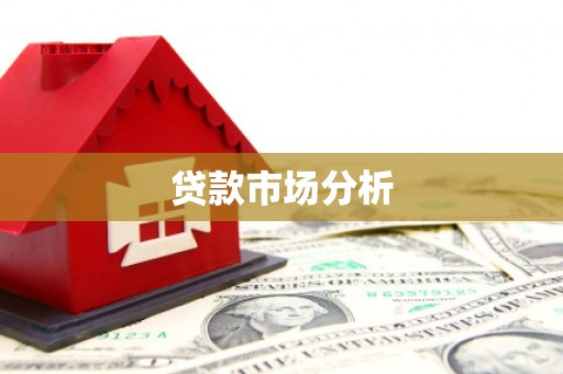 丽水贷款市场分析