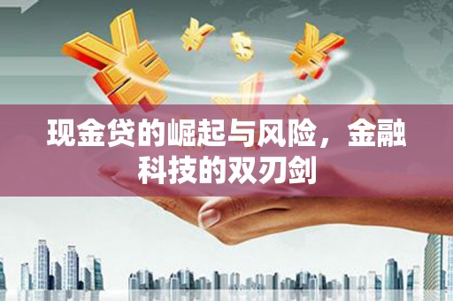 丽水现金贷的崛起与风险，金融科技的双刃剑