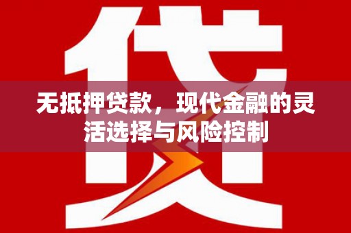 丽水无抵押贷款，现代金融的灵活选择与风险控制