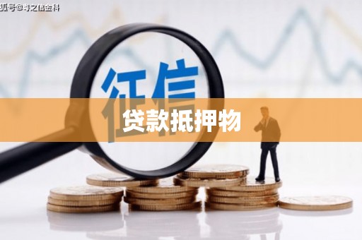 丽水贷款抵押物