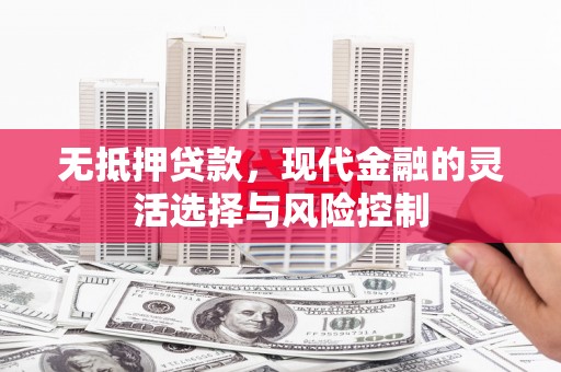 丽水无抵押贷款，现代金融的灵活选择与风险控制