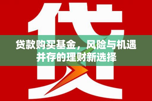 丽水贷款购买基金，风险与机遇并存的理财新选择