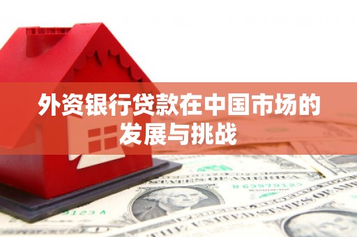 丽水外资银行贷款在中国市场的发展与挑战