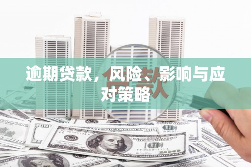 丽水逾期贷款，风险、影响与应对策略