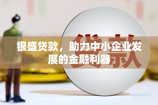 丽水银盛贷款，助力中小企业发展的金融利器