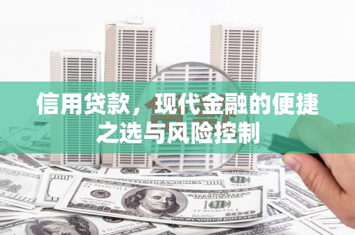 丽水信用贷款，现代金融的便捷之选与风险控制