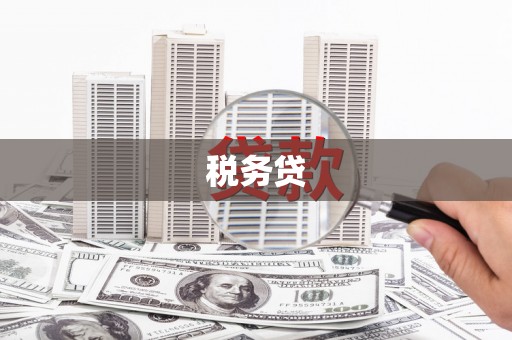丽水税务贷