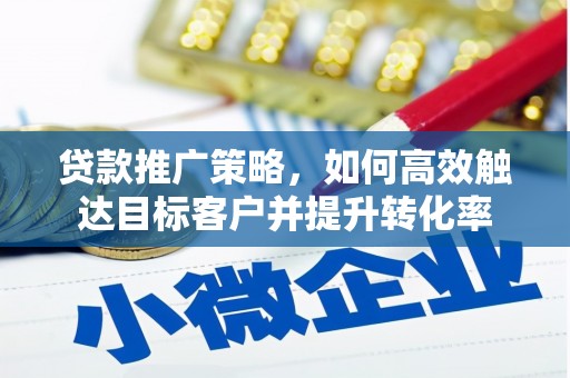 丽水贷款推广策略，如何高效触达目标客户并提升转化率