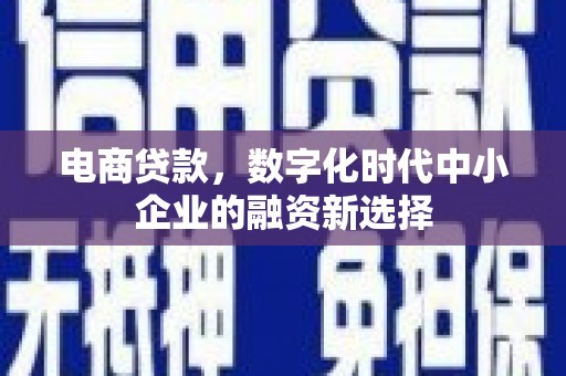 丽水电商贷款，数字化时代中小企业的融资新选择