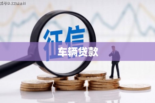 丽水车辆贷款