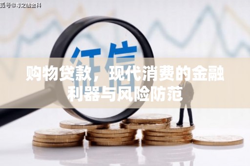 丽水购物贷款，现代消费的金融利器与风险防范