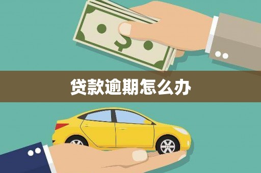 丽水贷款逾期怎么办