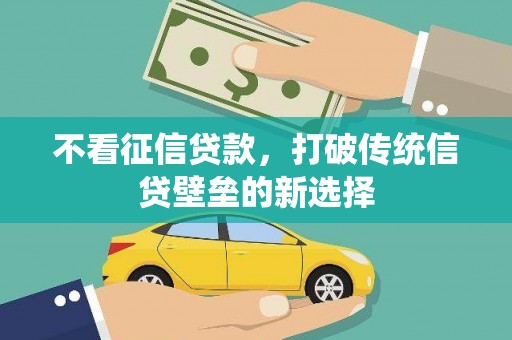 丽水不看征信贷款，打破传统信贷壁垒的新选择