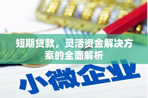 丽水短期贷款，灵活资金解决方案的全面解析