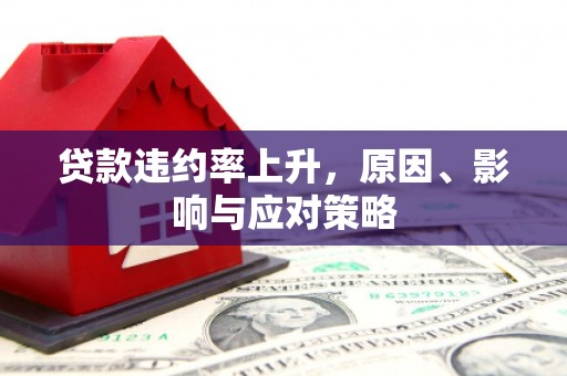 丽水贷款违约率上升，原因、影响与应对策略