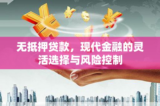 丽水无抵押贷款，现代金融的灵活选择与风险控制