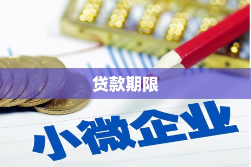 丽水贷款期限
