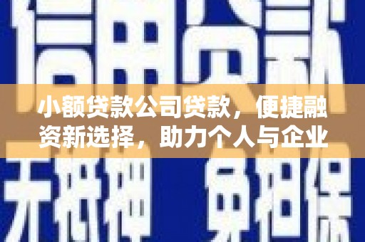 丽水小额贷款公司贷款，便捷融资新选择，助力个人与企业成长