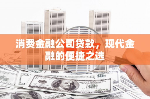 丽水消费金融公司贷款，现代金融的便捷之选